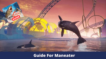 Image 1 for Guide For Maneater Shark …