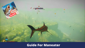Image 0 for Guide For Maneater Shark …