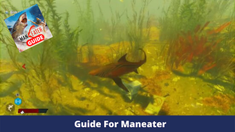 Image 2 for Guide For Maneater Shark …