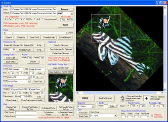 Imagen 0 para X360 Tiff Image Processin…