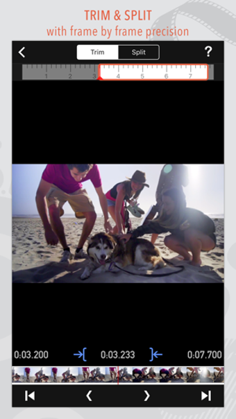 Image 2 for ReelDirector II