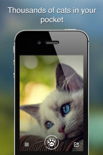 Image 0 for Purr Cat - Cutest cat pic…