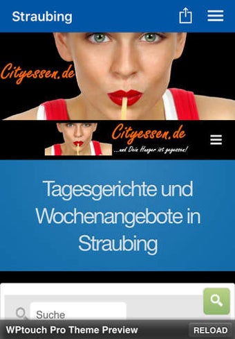 Image 0 for Straubinger Tageskarte
