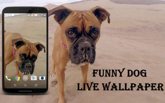 Imagen 0 para Funny Dog Video Live Wall…