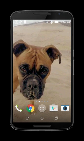 Imagen 1 para Funny Dog Video Live Wall…