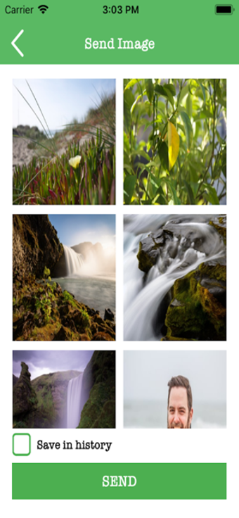 Image 2 for What Web Clone