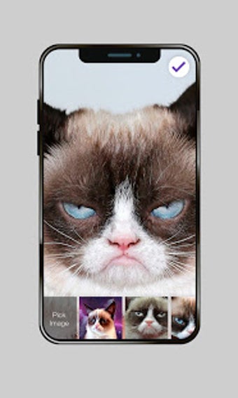 Image 2 for Grumpy Cat Wallpaper HD S…