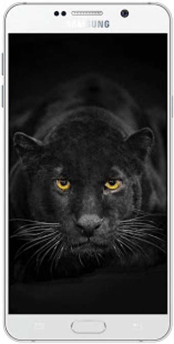 Image 0 for Black Panther Wallpaper H…
