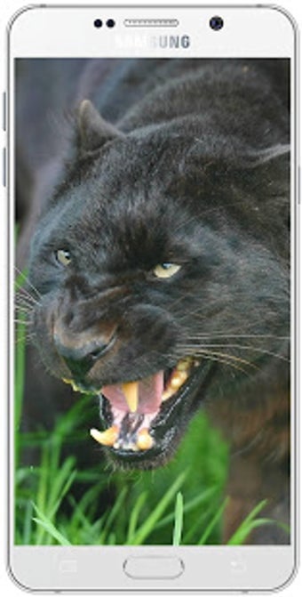 Image 2 for Black Panther Wallpaper H…