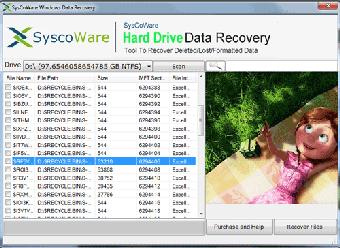 Imagen 0 para SyscoWare Hard Drive Data…