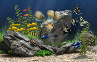 Image 2 for Dream Aquarium Screensave…