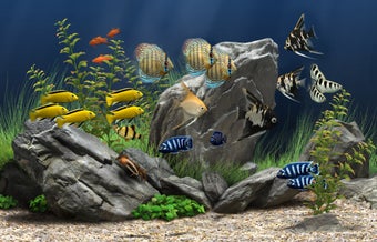 Image 1 for Dream Aquarium Screensave…