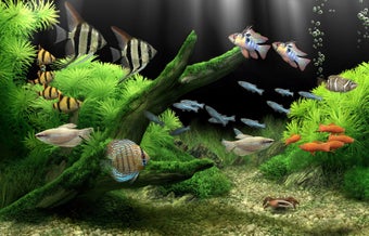 Image 0 for Dream Aquarium Screensave…