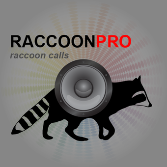 Imagen 0 para Raccoon Calls for Hunting