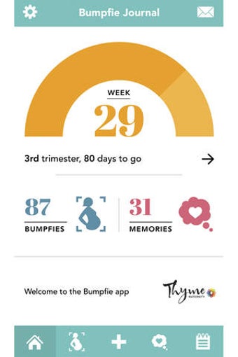 Image 0 for Bumpfie by Thyme Maternit…