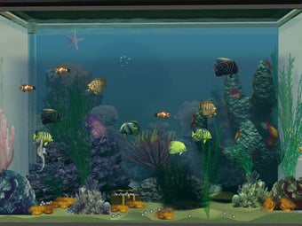 Imagen 0 para 3D Salt Water Fish Tank