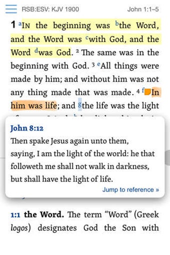 Image 0 for Reformation Study Bible