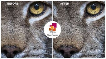 Imagen 1 para InPixio Photo Maximizer f…