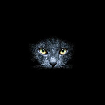 Imagen 2 para Black Cats Live Wallpaper