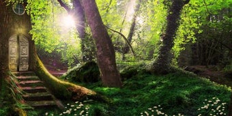 Image 1 for Magic forest live wallpap…