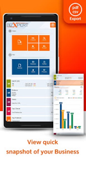 Imagen 1 para Invoice  BizXpert