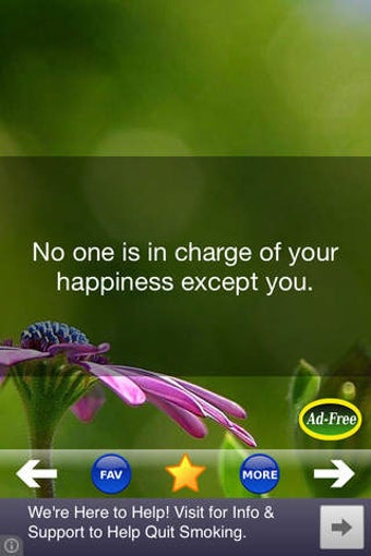 Imagen 0 para Happiness Tips FREE!