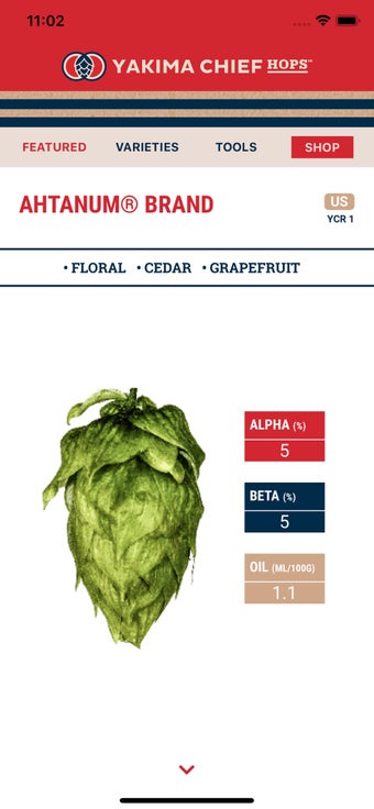 Image 1 for Yakima Chief Hops