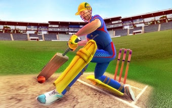 Imagen 1 para T20 Cricket Cup 2019: Spo…