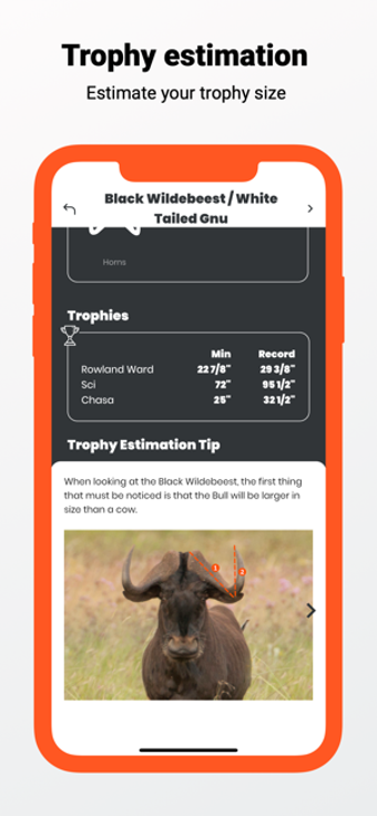 Image 2 for Hunting and Shot Placemen…