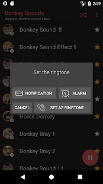 Image 2 for Appp.io - Donkey Sounds