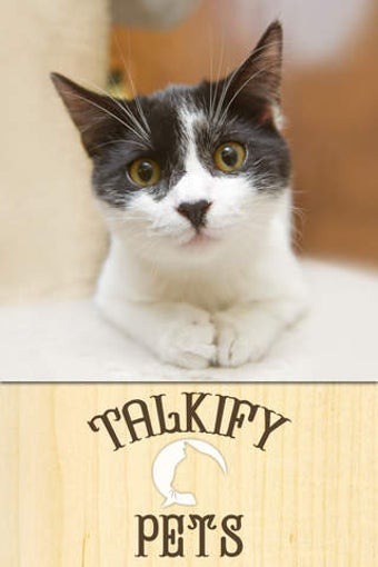 Image 0 for Talkify Pets
