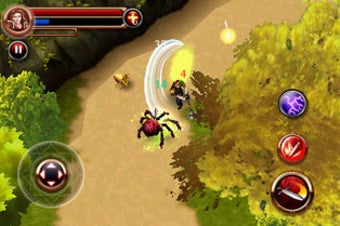 Image 1 for Dungeon Hunter