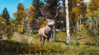 Image 0 for Way of the Hunter: Lintuk…