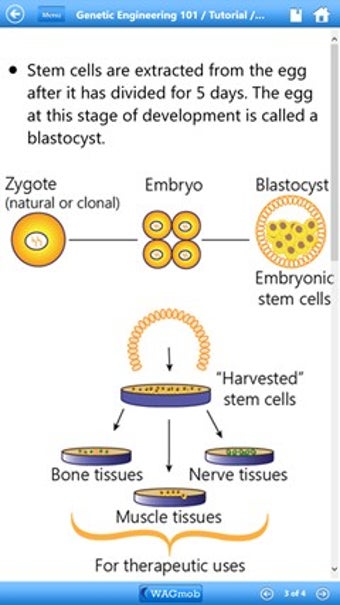 Imagen 1 para Genetic Engineering 101 b…