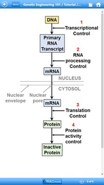 Imagen 0 para Genetic Engineering 101 b…