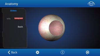 Image 1 for Ophthalmology in Dogs (Fr…