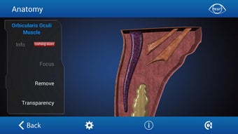 Image 2 for Ophthalmology in Dogs (Fr…