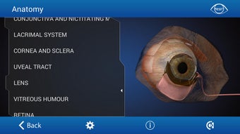 Image 0 for Ophthalmology in Dogs (Fr…