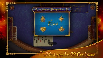 Image 1 for 29 Card Game