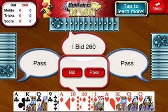 Image 0 for Pinochle Lite