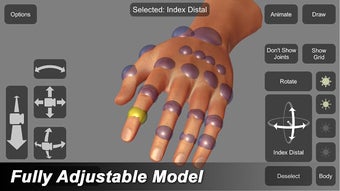 Image 0 for Hand Mannequin