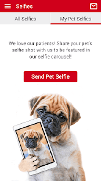 Image 2 for Wake Forest Animal Hospit…