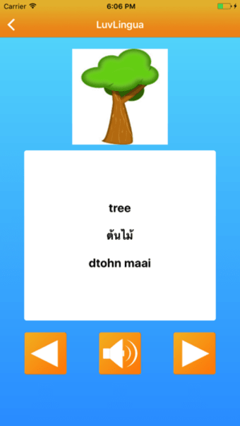 Image 0 for Learn Thai LuvLingua Pro
