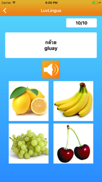 Image 2 for Learn Thai LuvLingua Pro