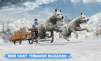 Image 0 for Snow Dog Sledding Transpo…
