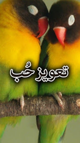 Imagen 0 para Taweez e Hub by Aimal Raz…