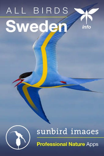 Image 0 for All Birds Sweden - A Comp…