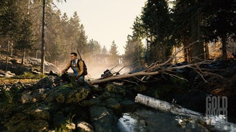 Image 0 for The Gold River Project