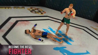 Image 0 for MMA Fighting Games