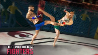 Image 2 for MMA Fighting Games